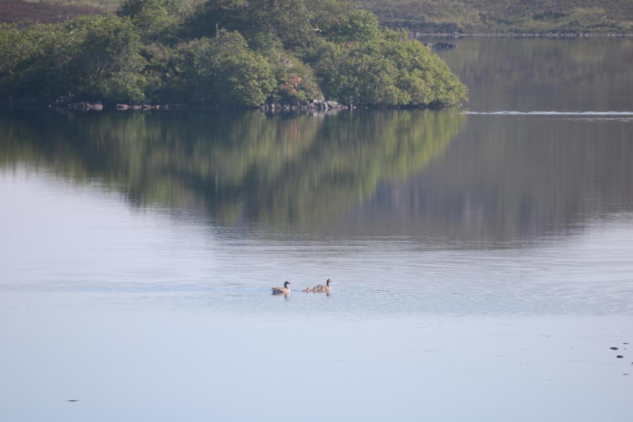 Holiday home Grey Goose Lochs